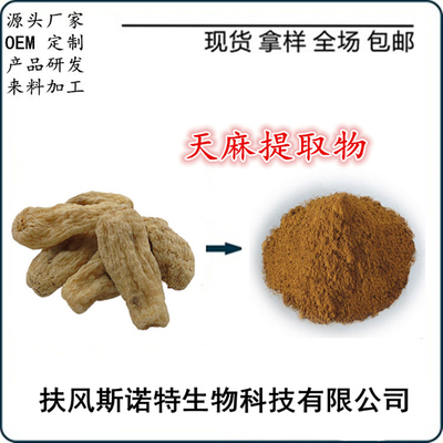 天麻提取物粉 天麻粉 天麻速溶粉 廠家自銷 量大優(yōu)惠