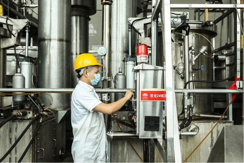 品質(zhì)升級(jí)與技術(shù)創(chuàng)新 檳榔產(chǎn)業(yè)實(shí)現(xiàn)高質(zhì)量發(fā)展的自我革新之路